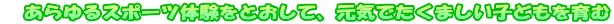 �@������X�|�[�c�̌����Ƃ����āA���C�ł����܂����q�ǂ������
