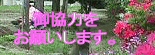 ‰ü‘P‚ɖ𗧂Ă܂·