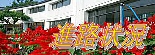 教育部の進路