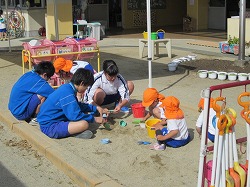 IMG_1134_1