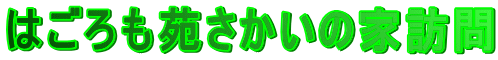 �͂�������������̉ƖK��